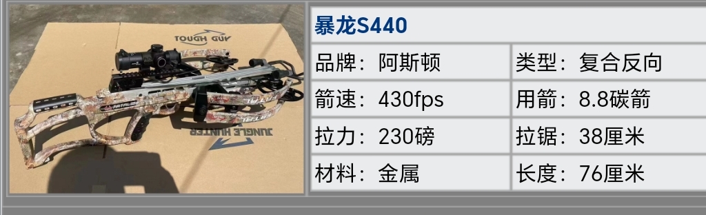 阿斯顿本能450 (9).jpg